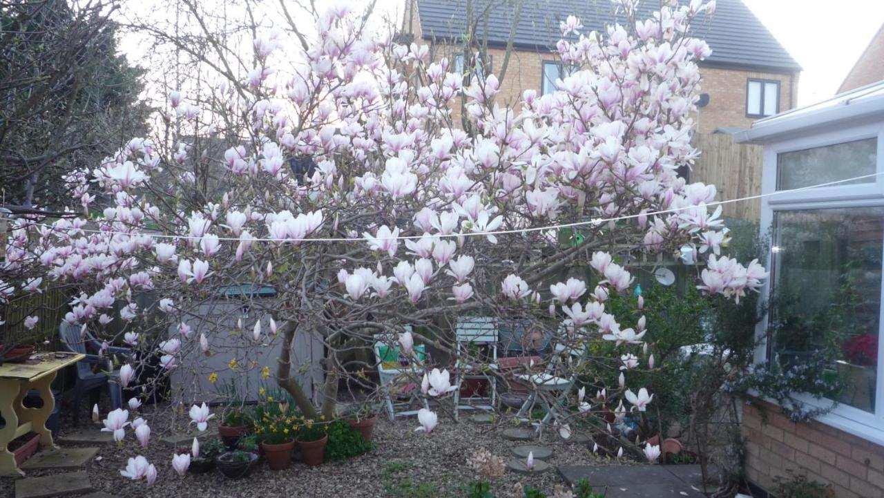The Little Annexe Bed and Breakfast Στάμφορντ Εξωτερικό φωτογραφία